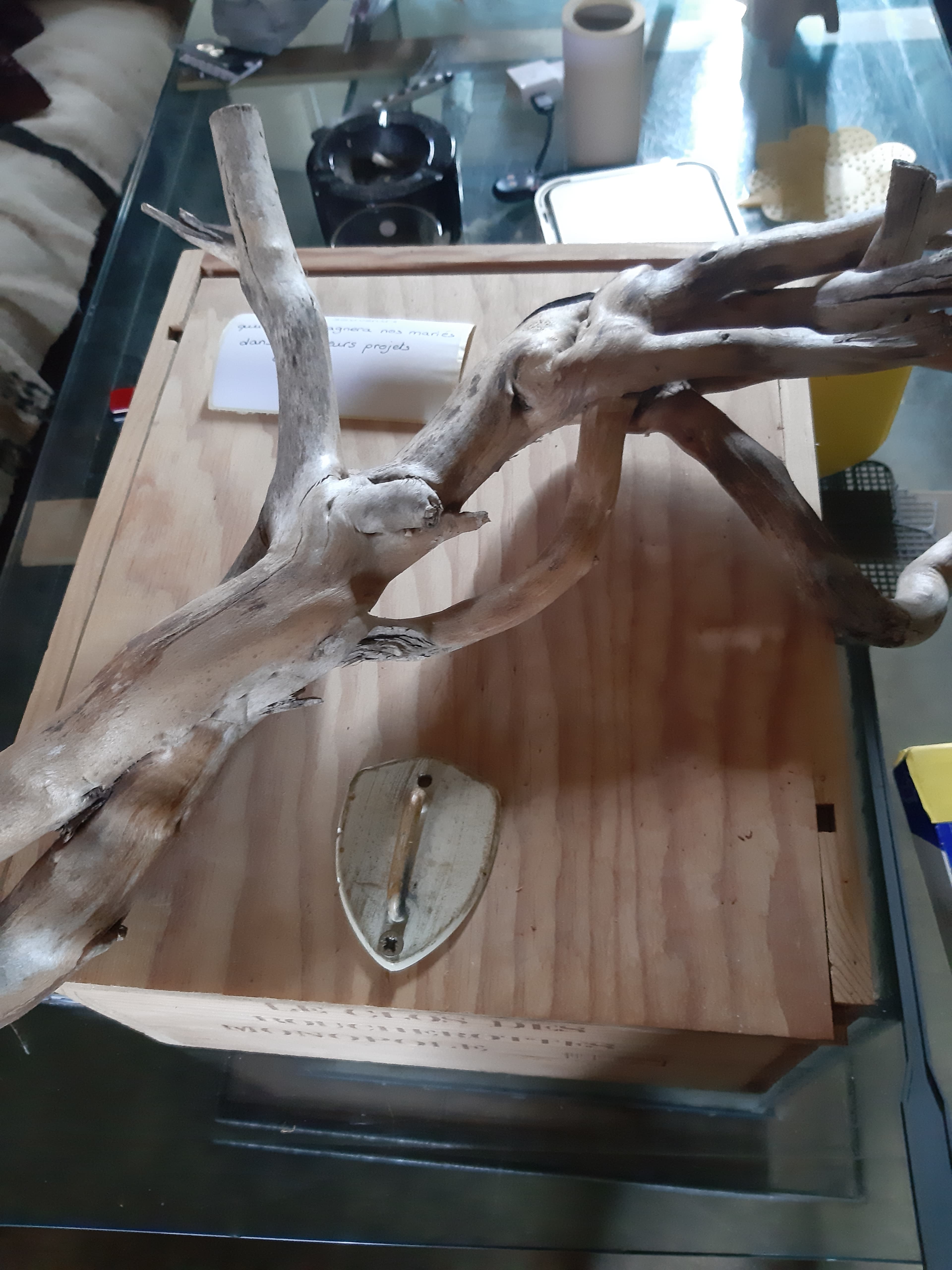 Pièce de bois flotté sur support en contreplaqué