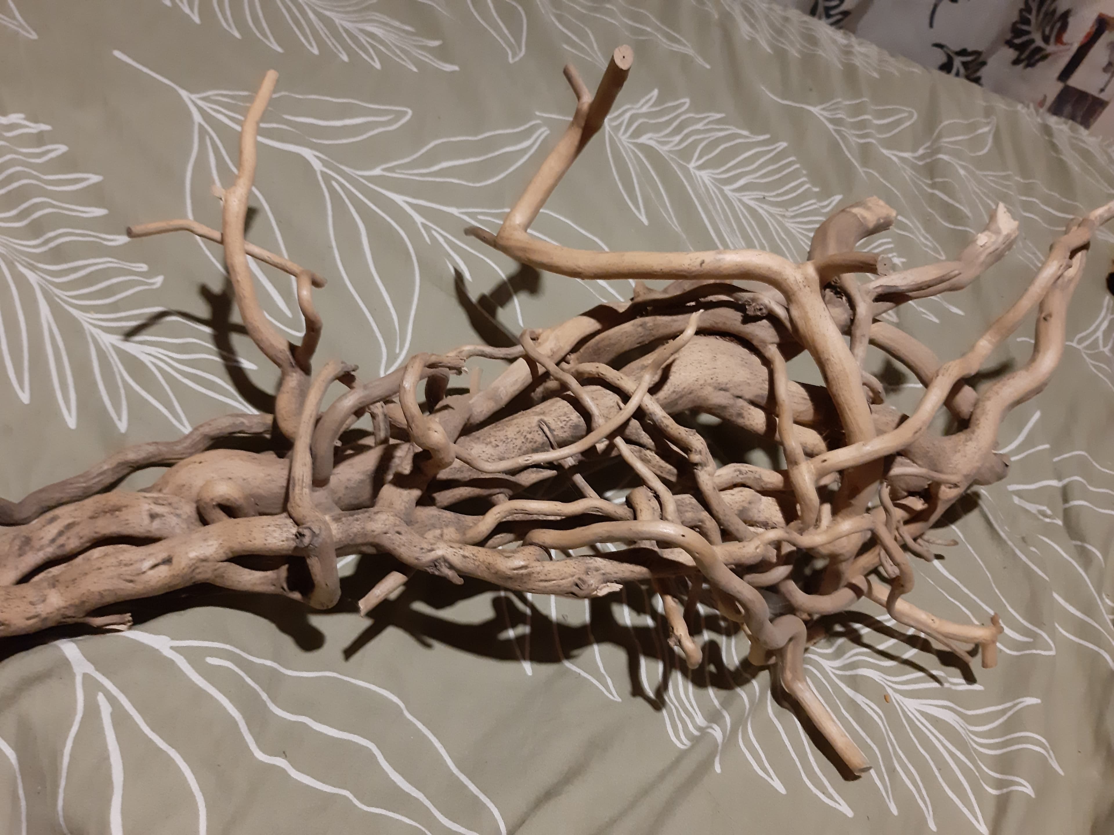 Grande pièce de bois flotté/racines seule