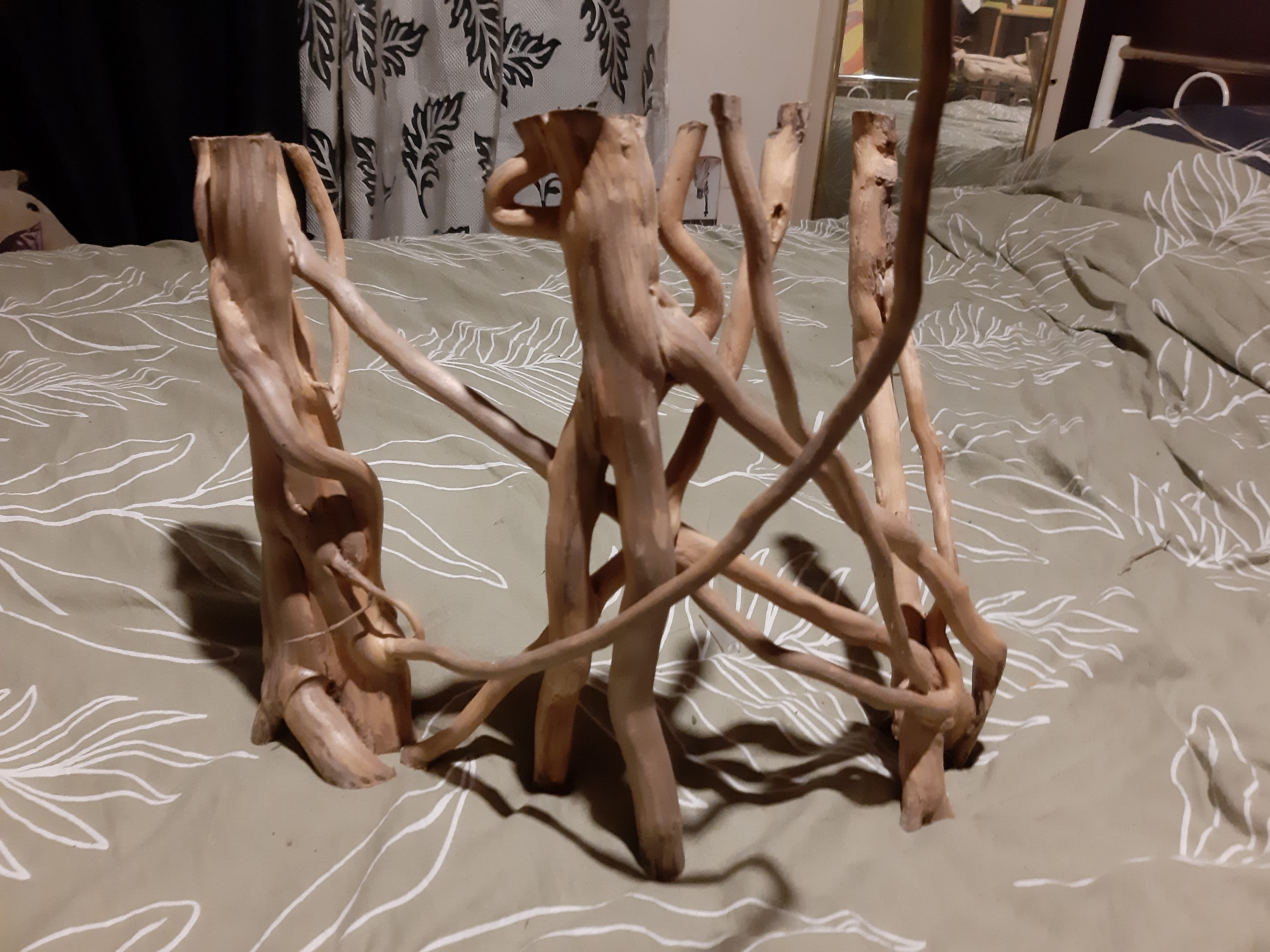 3 bases de racines pour projet